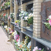 Cementerio