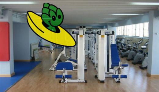 Actividades deportivas verano 2012