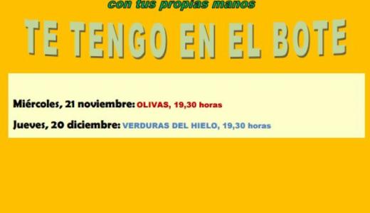 Cartel Taller de las Olivas