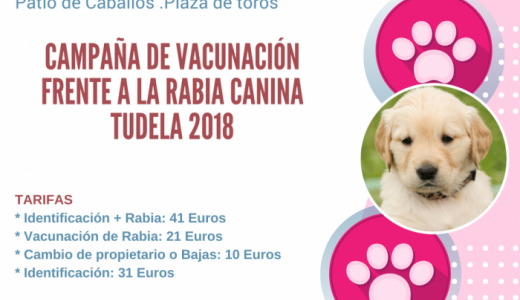 Cartel Vacunación 2018