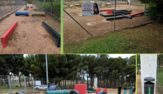 Circuito canino