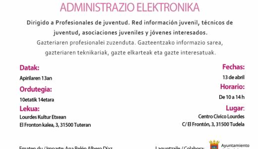 Curso administración electrónica