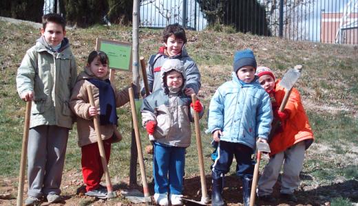 Día del árbol 2013