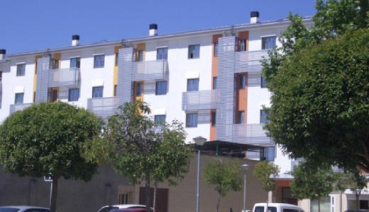 eco -city