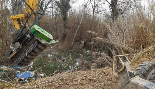 ELIMINACIÓN DE FLORA INVASORA EN LA ORILLA DEL RÍO EBRO