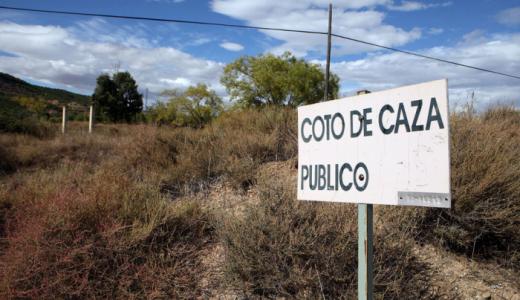 Foto: N.G.Landa. Coto de caza