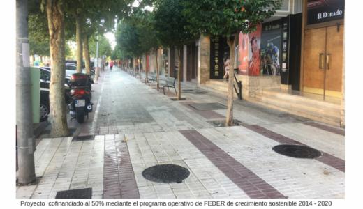 Mejora Paseo de Pamplona y Muro