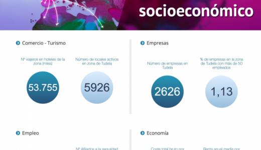 `Observatorio socioeconómico público de Tudela´