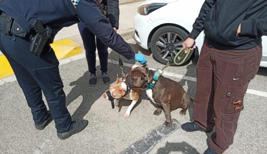 Policía Local