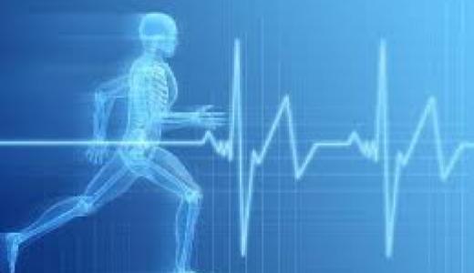 Salud y deporte
