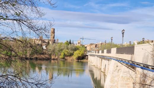 Tudela desde el puente del Ebro