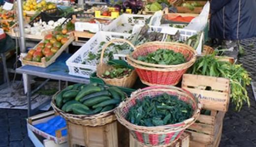 verduras