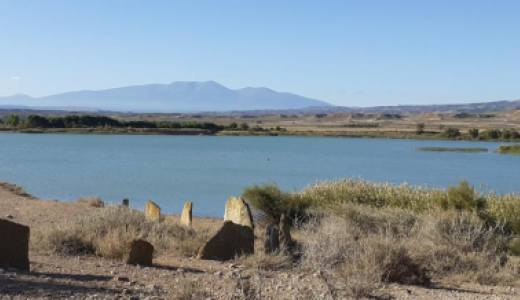 Vistas El Pulguer