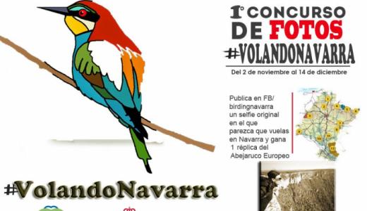#VolandoNavarra