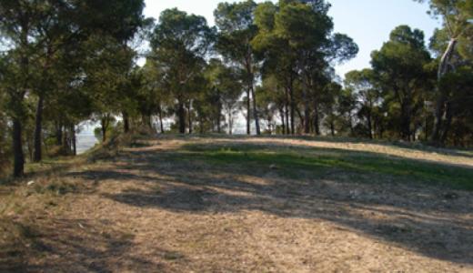 zona Santa Quiteria