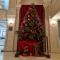 Arbol ayuntamiento