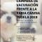 Campaña vacunación canina 2019
