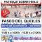 Cartel pista de hielo 2015