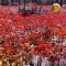 Foto  Fiestas