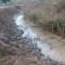 Situación de la acequia del Molinar antes de la limpieza 2